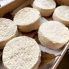 Guiden om gedeoste - typer og sæsoner